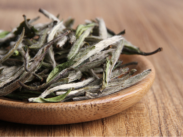 让老烟枪都痴迷的“飞茶叶”，你确定不来一根？