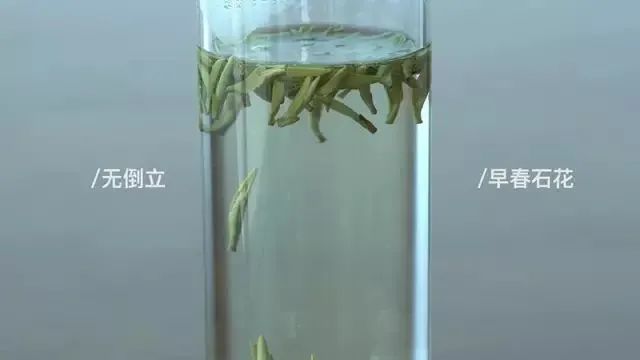 验证绿茶界“倒立现象”，我们做了这个实验