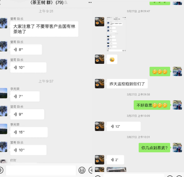 刮风寨茶农把我的茶王树掉包了，交易之地再无净土？