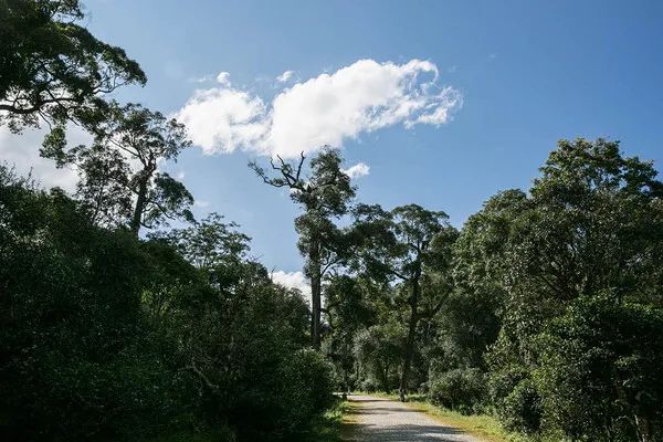 爱过的你“懂过”吗、“同庆河”是河吗，那些让你摸不着头脑的山头、寨子高频词汇