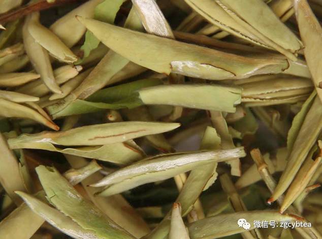 超实用主流茗茶样本图:怕买到黑心假茶?请先对照这15款茶叶外形