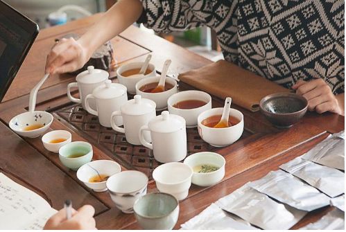 茶行业人士“熊市”生存指南：“回炉再造”未尝不可，探究自我的能力与价值