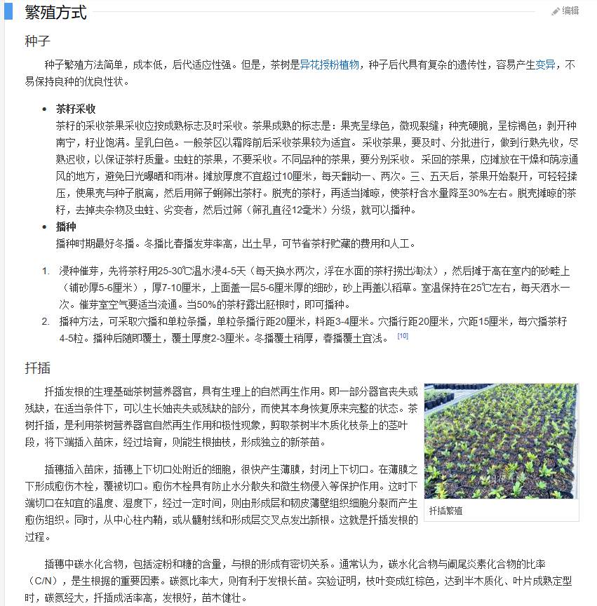 错漏百出的"普洱茶"百度百科:周武王喝过/生普变熟普/台地茶低劣…