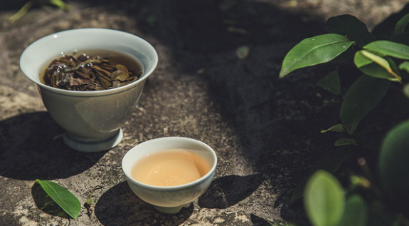 一读就错？快来看看连茶人都容易混淆的「易错字」！