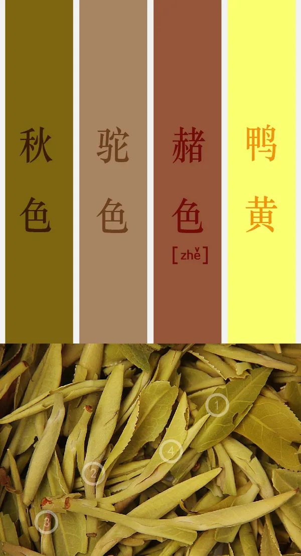 茶人的秋冬亦能拥有五彩斑斓的世界，茶叶将一年四季的颜色都锁在了它的骨子里