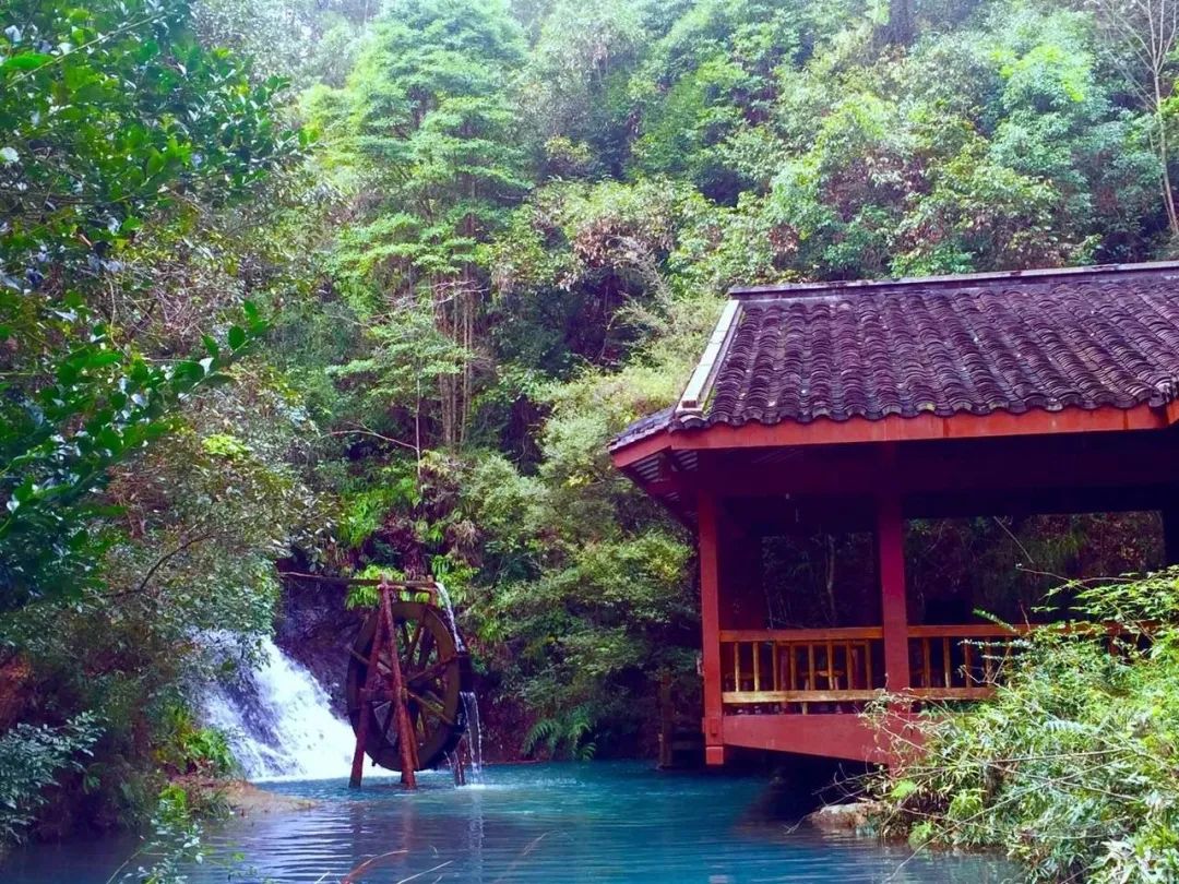 不想家里蹲，出门找优质山泉水泡茶去了！！！