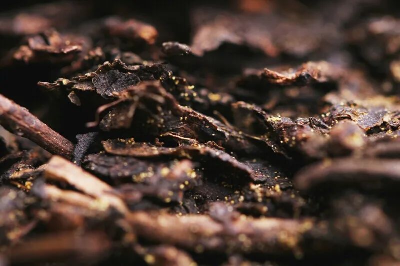 微观世界：茶叶上盛开的花