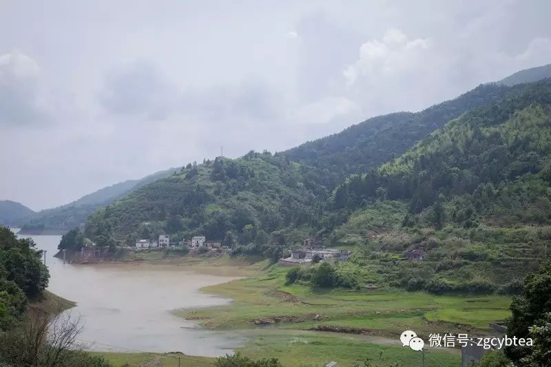 全国2862个县中它毫不起眼,却用牛肉丸和白溪茶氤氲了客家山乡梦