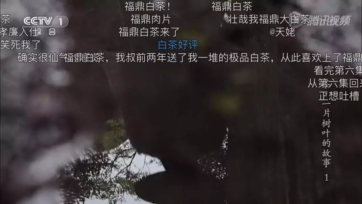 想让年轻人买茶？你得先透过茶叶纪录片上的“弹幕”了解他们！