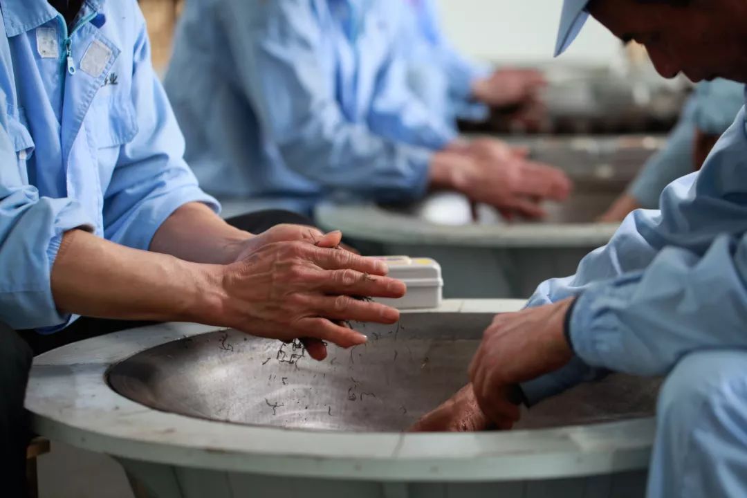 可能这份茶学专业职业规划书对你来说晚了点,但是否可以把它转给还没毕业的学弟学妹?