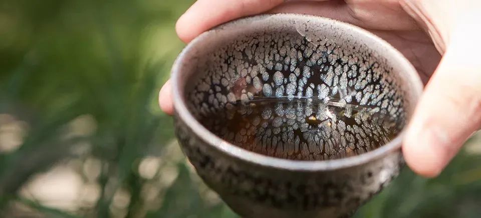同为“瘾品”的茶和酒，都有哪些相似之处？