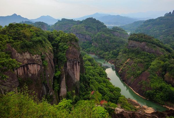 福建著名茶叶地方公共品牌IP打造哪家强？茶类区域IP管理必读！
