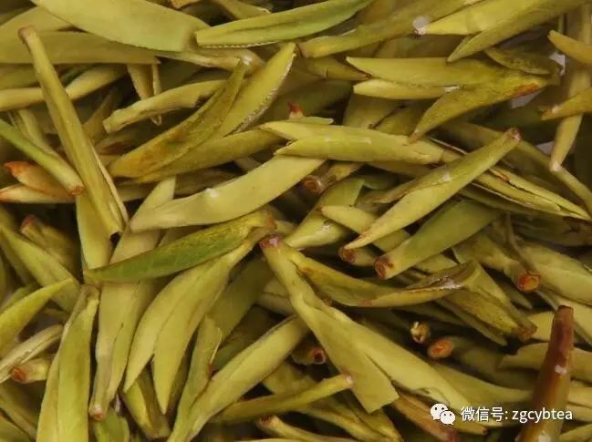 超实用主流茗茶样本图:怕买到黑心假茶?请先对照这15款茶叶外形