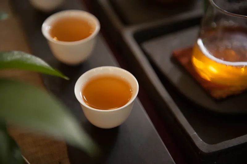什么是普洱茶风味轮？茶叶专家周红杰教授为你详解普洱茶风味知识