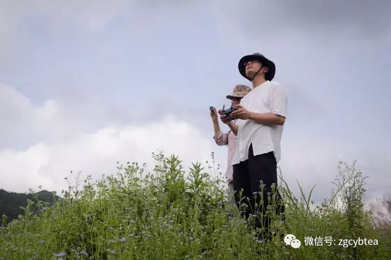 全国2862个县中它毫不起眼,却用牛肉丸和白溪茶氤氲了客家山乡梦