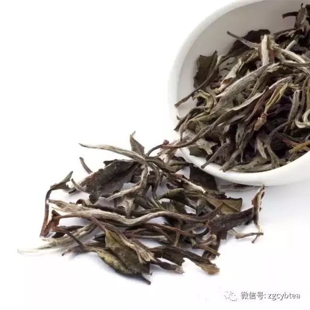 与茶店老板相比，你们的泡茶技术之间只差这篇冲泡秘籍