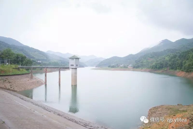 全国2862个县中它毫不起眼,却用牛肉丸和白溪茶氤氲了客家山乡梦