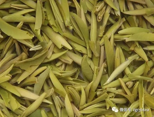 超实用主流茗茶样本图:怕买到黑心假茶?请先对照这15款茶叶外形