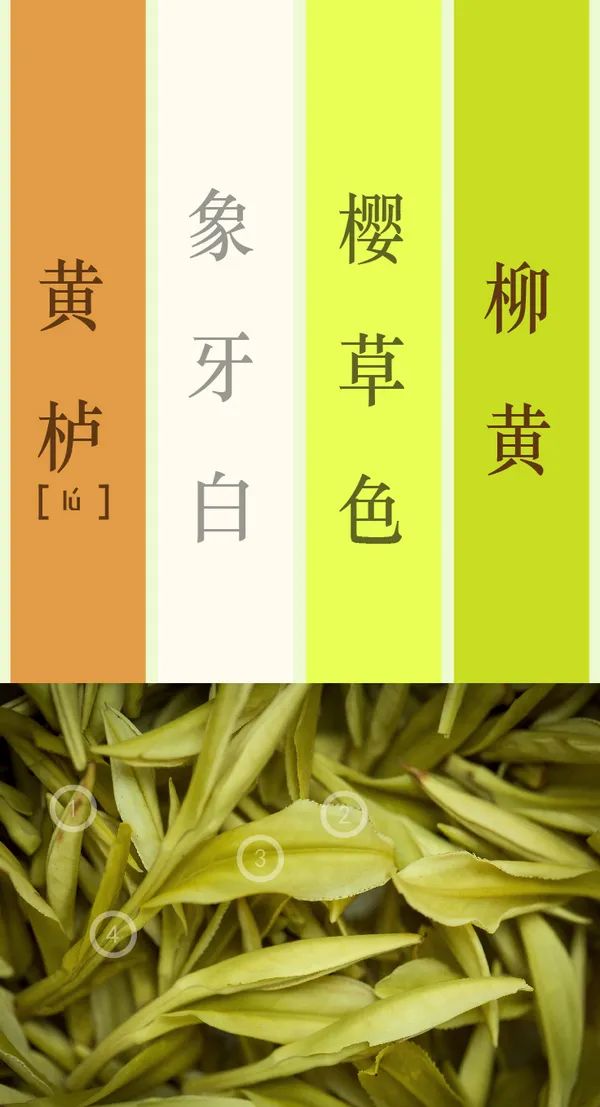 茶人的秋冬亦能拥有五彩斑斓的世界，茶叶将一年四季的颜色都锁在了它的骨子里
