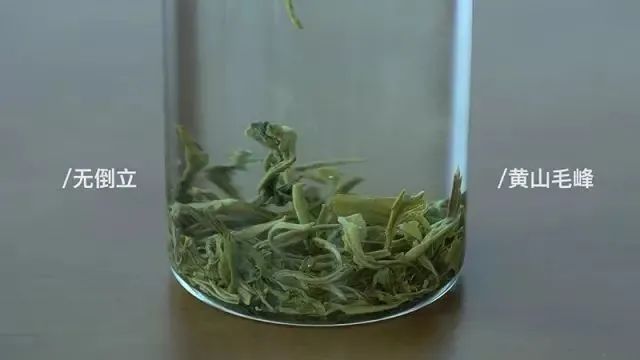 验证绿茶界“倒立现象”，我们做了这个实验