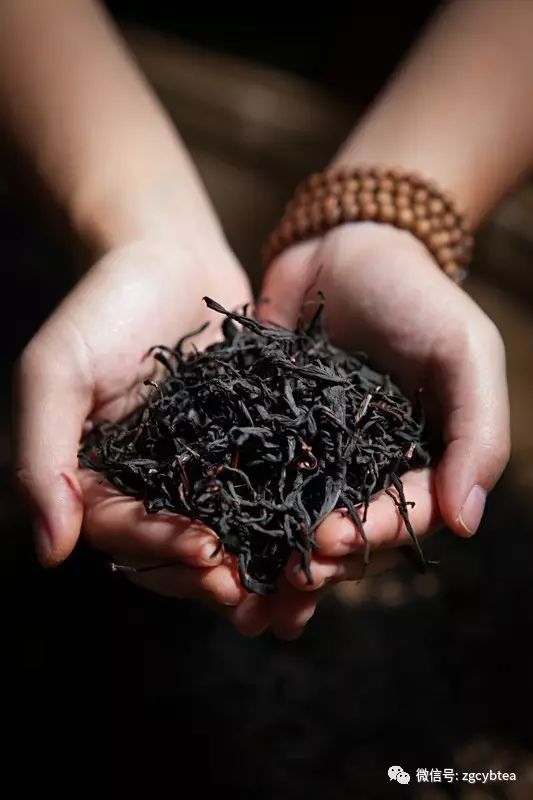 16年研究后,浙大茶学博导屠幼英开讲红茶如何预防心血管疾病!