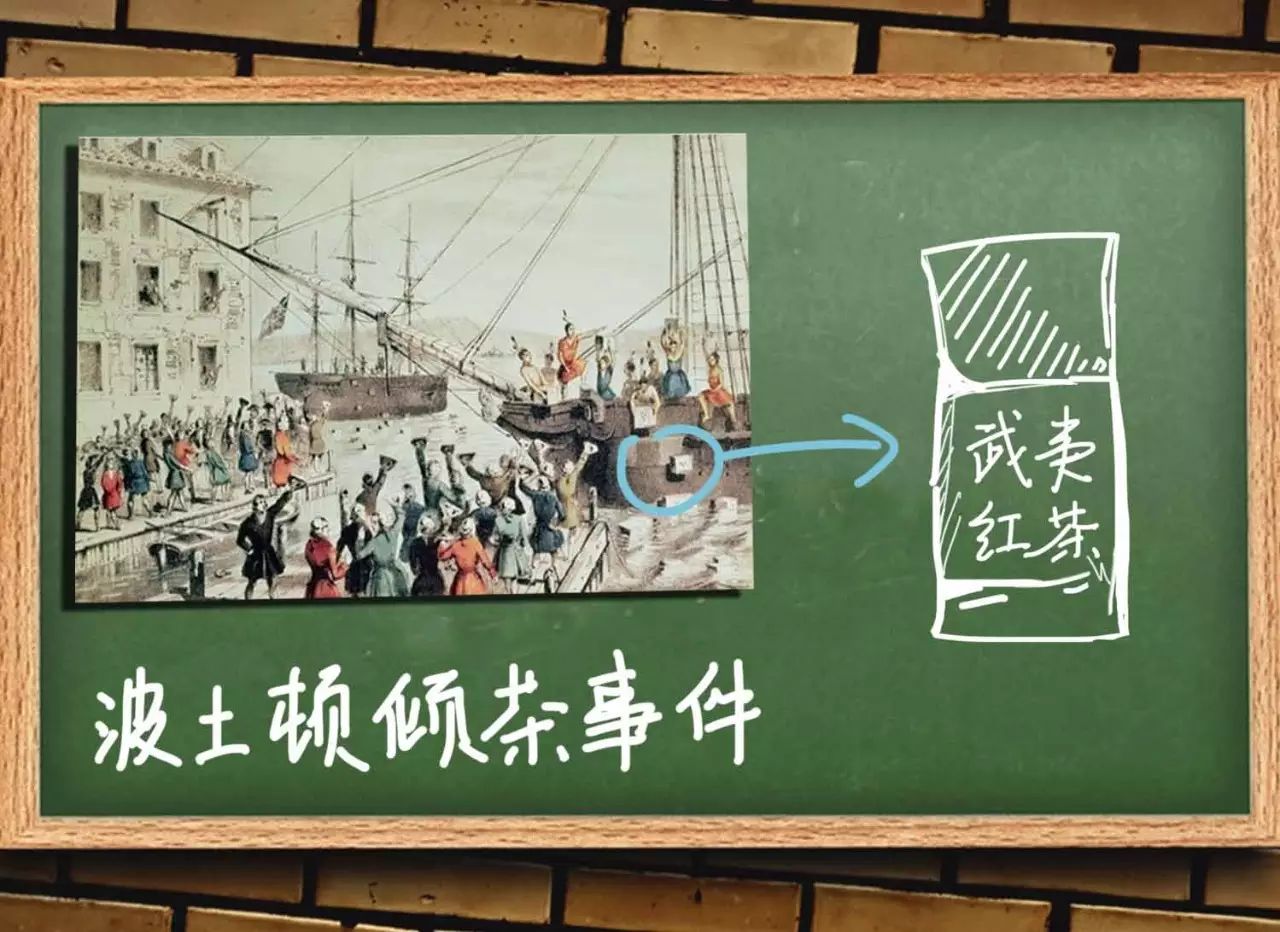 一斤茶多少芽头？普洱茶饼周长多少？看完这些黑知识感觉能量满满