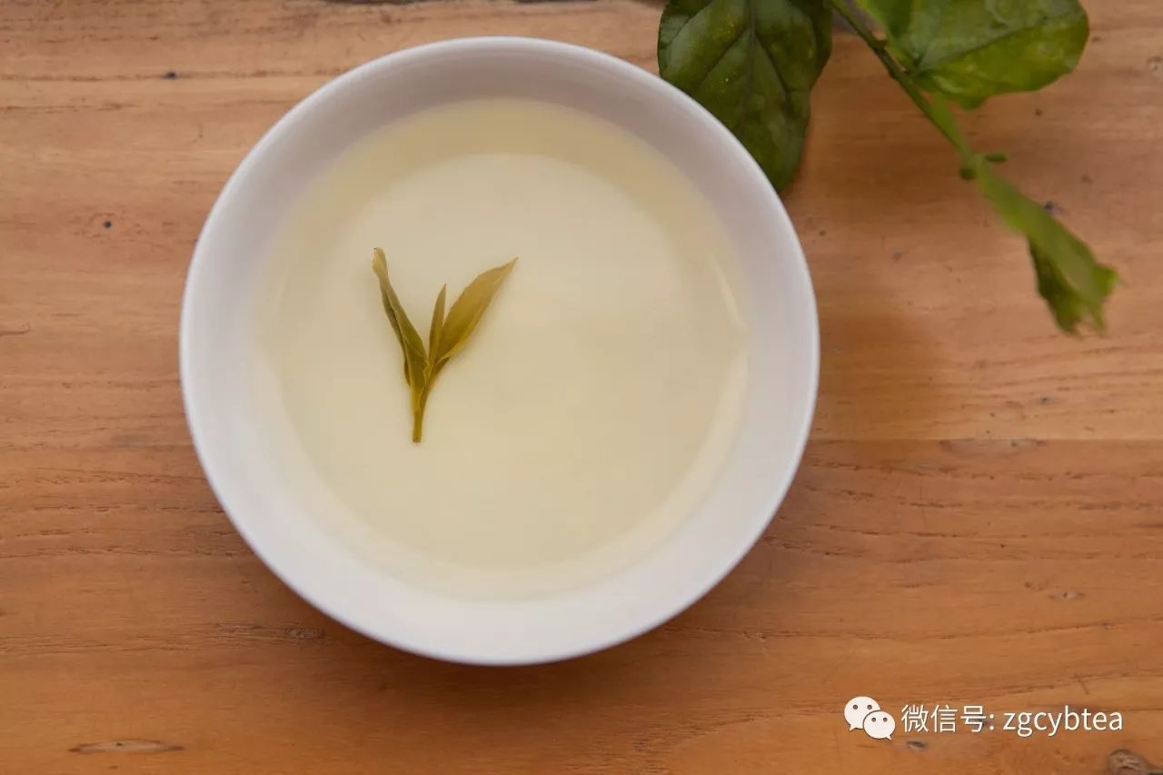 肉身亲测后,我们找到了这些顶级好茶的终极奥义！