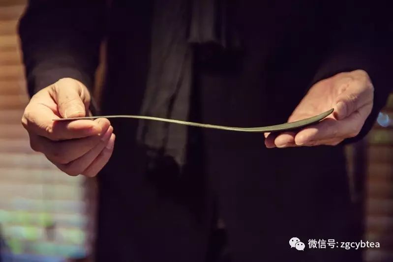在一个有六千件古茶器、五千块宋窑砖、数百件老家具的地方喝茶是什么感受？