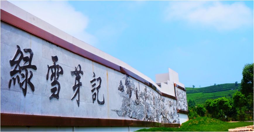盘点茶界“老大帝国”：昨日辉煌与今日困局