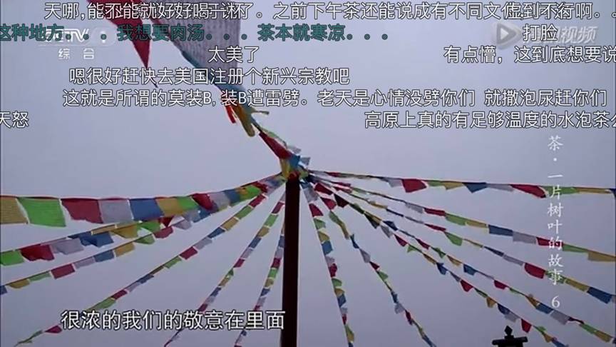 想让年轻人买茶？你得先透过茶叶纪录片上的“弹幕”了解他们！