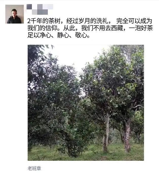六大值得注意的朋友圈兜售茶叶的方式方法，拿走不谢