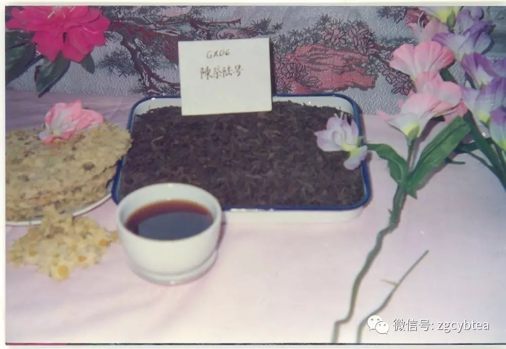 畅销境外半世纪的六堡茶，国内茶圈却有80%的人没喝过它的正味！