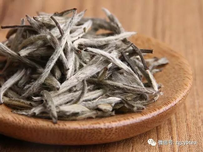 超实用主流茗茶样本图:怕买到黑心假茶?请先对照这15款茶叶外形