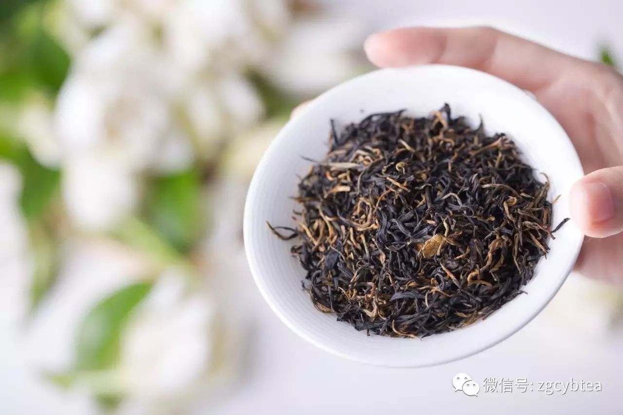 16年研究后,浙大茶学博导屠幼英开讲红茶如何预防心血管疾病!
