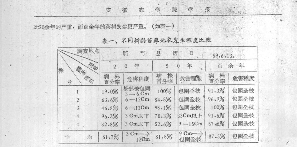 有人多花30%的钱,就为买树上长苔藓的茶,专家:那是茶树病害