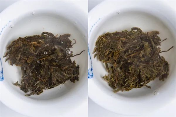 为什么别人泡出来很好喝的茶，我泡出来像假茶？普洱茶冲泡指南