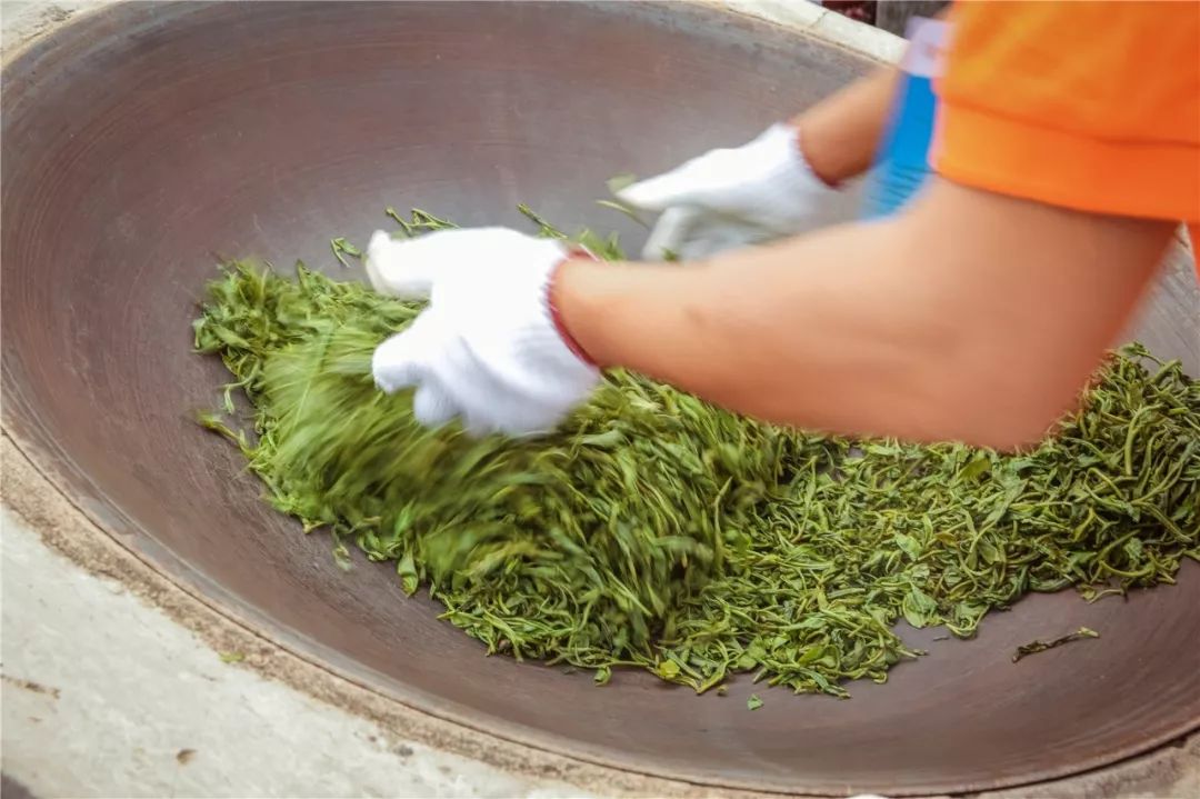茶人必备免费壁纸:武夷岩茶/云南普洱/安徽祁红…这些好茶的绝美茶山都打包了