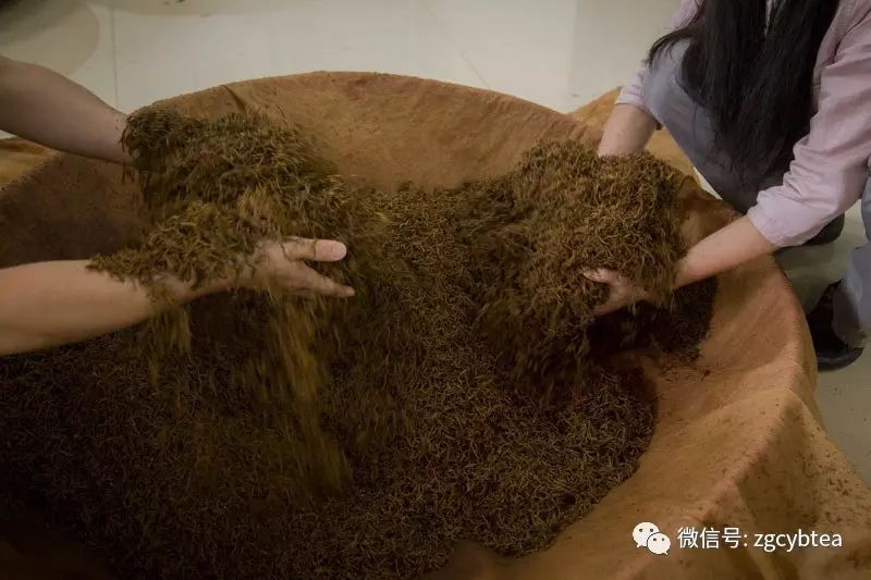 全国2862个县中它毫不起眼,却用牛肉丸和白溪茶氤氲了客家山乡梦