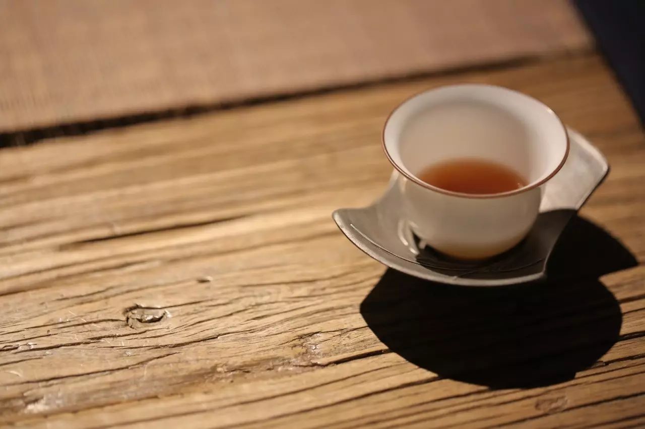 古树茶断货了?别怕,青山处处古茶树！成百上千、量大质优！