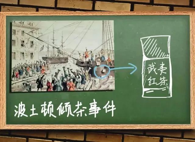 如果泡一泡茶没有称怎么办？一斤茶有多少芽头？趣味茶叶冷知识快收藏