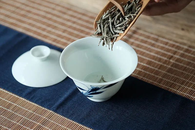 茶圈名媛生活指南