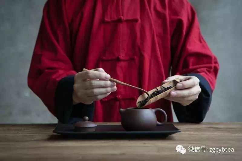 你为什么如此坚信那些说喝茶会钙流失、会长胆结石的茶界谣言？