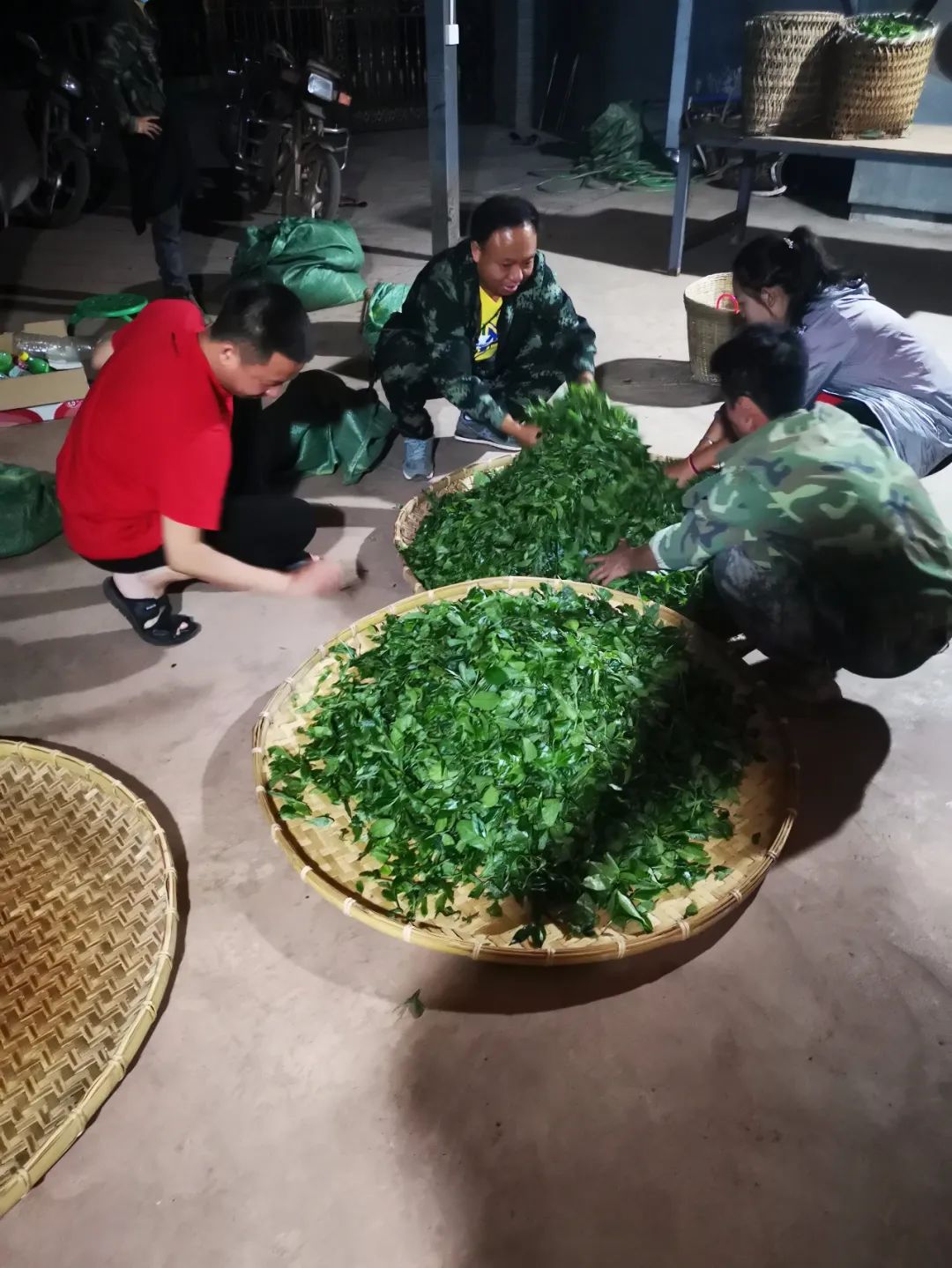刮风寨茶农把我的茶王树掉包了，交易之地再无净土？