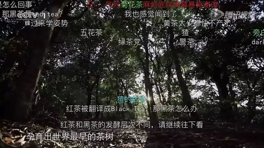 融入年轻人的“弹幕”法则