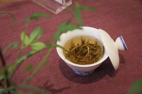 把茉莉跟茶凑一起就成了茉莉花茶?真正的花茶工艺可能是花半辈子都学不会的绝技!