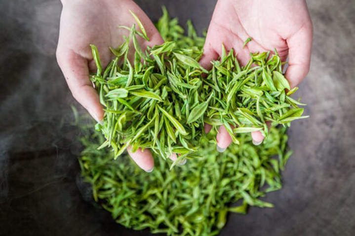 20万一斤的白毫银针：那些“天价茶”真的只是“智商收割机”吗？