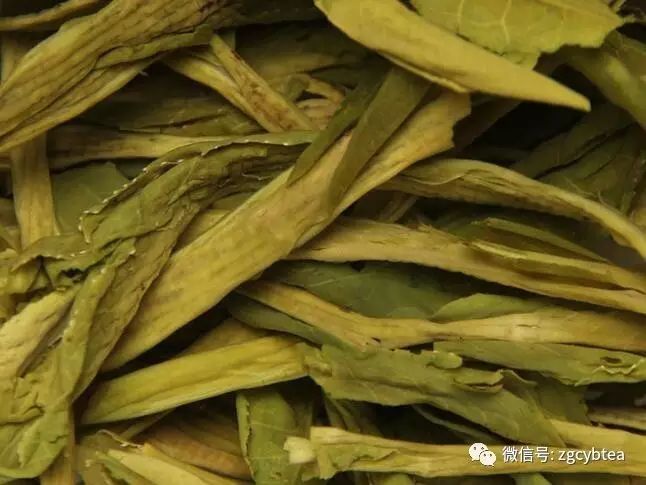 超实用主流茗茶样本图:怕买到黑心假茶?请先对照这15款茶叶外形