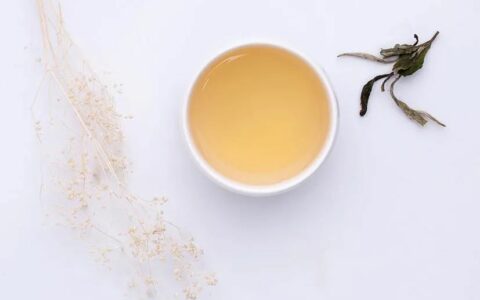 夏季白茶冲泡全器具教学，让你随时冲泡一杯解暑茶饮
