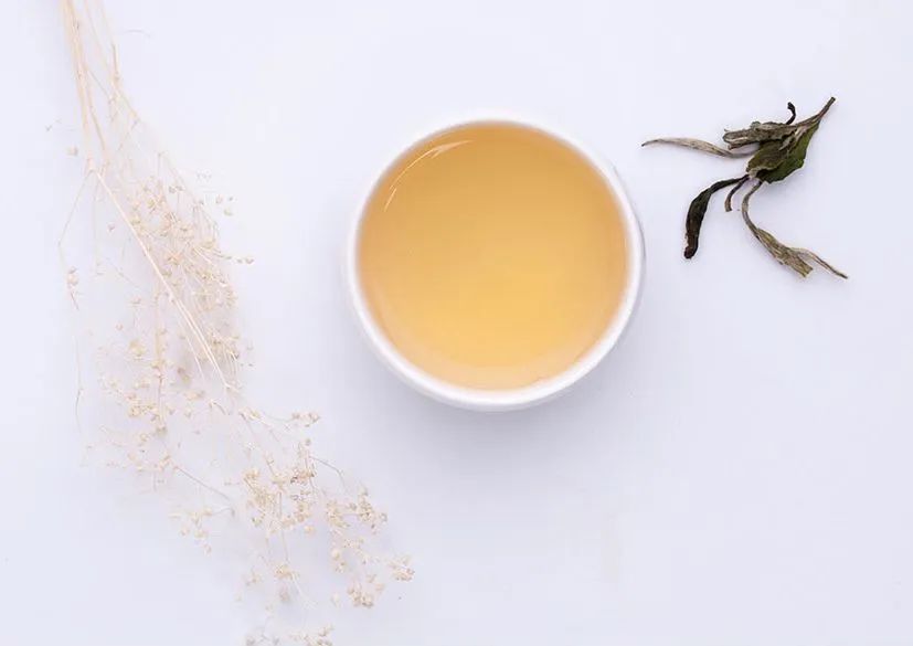 夏季白茶冲泡全器具教学，让你随时冲泡一杯解暑茶饮