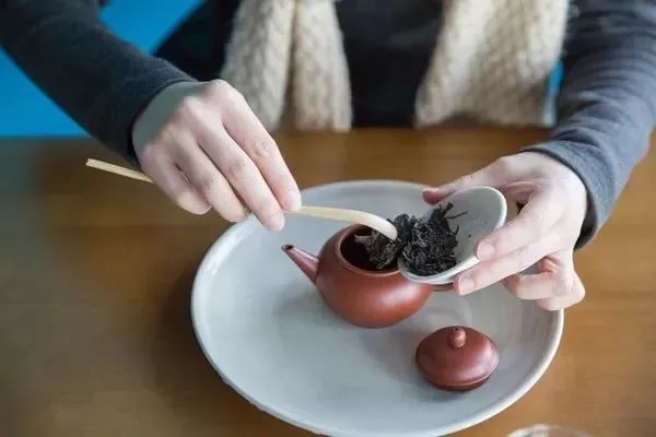 汤感香气复苏教程：你存的茶香气出现问题？其实可以再抢救一下！